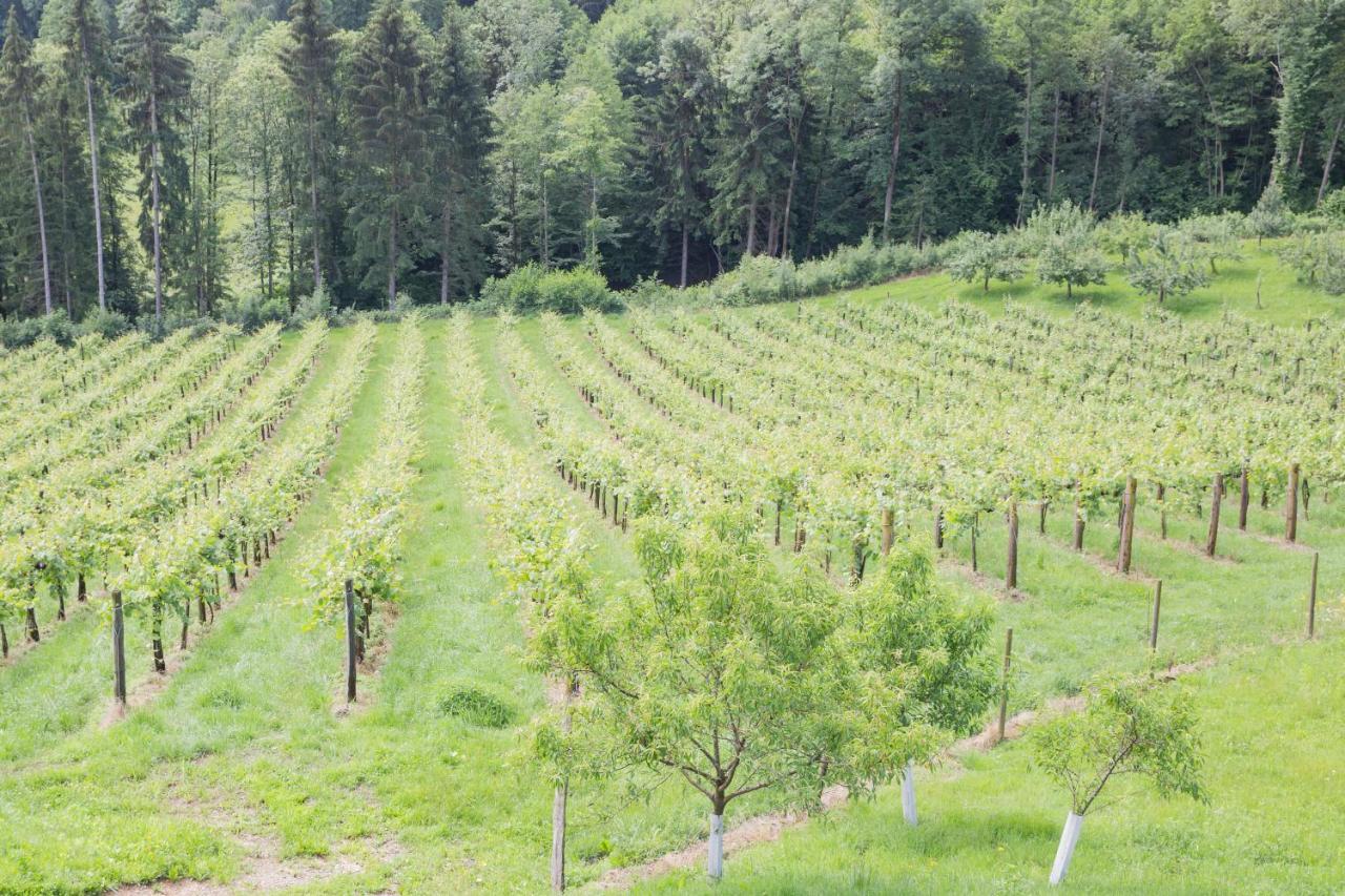 Buschenschank Ofnerpeter Sankt Stefan ob Stainz Екстериор снимка
